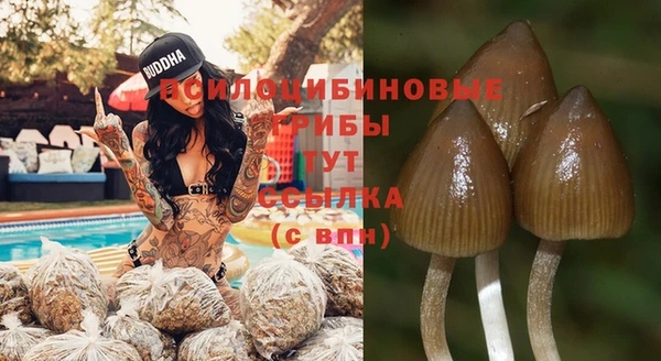 ешки Верхний Тагил